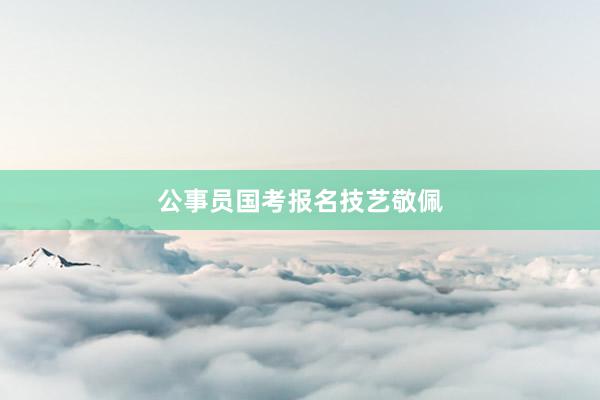 公事员国考报名技艺敬佩