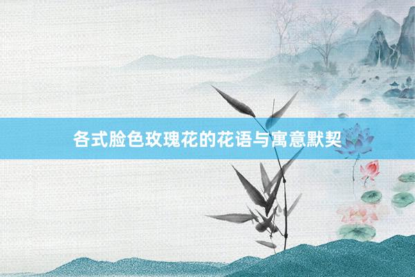 各式脸色玫瑰花的花语与寓意默契