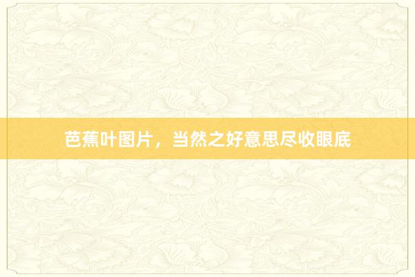 芭蕉叶图片，当然之好意思尽收眼底
