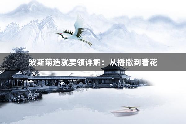 波斯菊造就要领详解：从播撒到着花