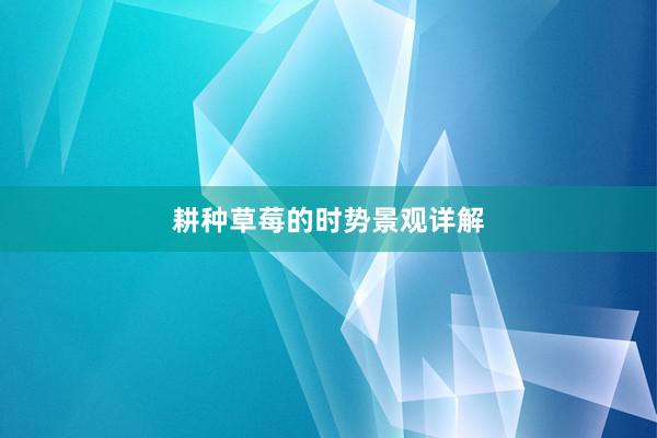 耕种草莓的时势景观详解