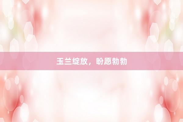 玉兰绽放，盼愿勃勃